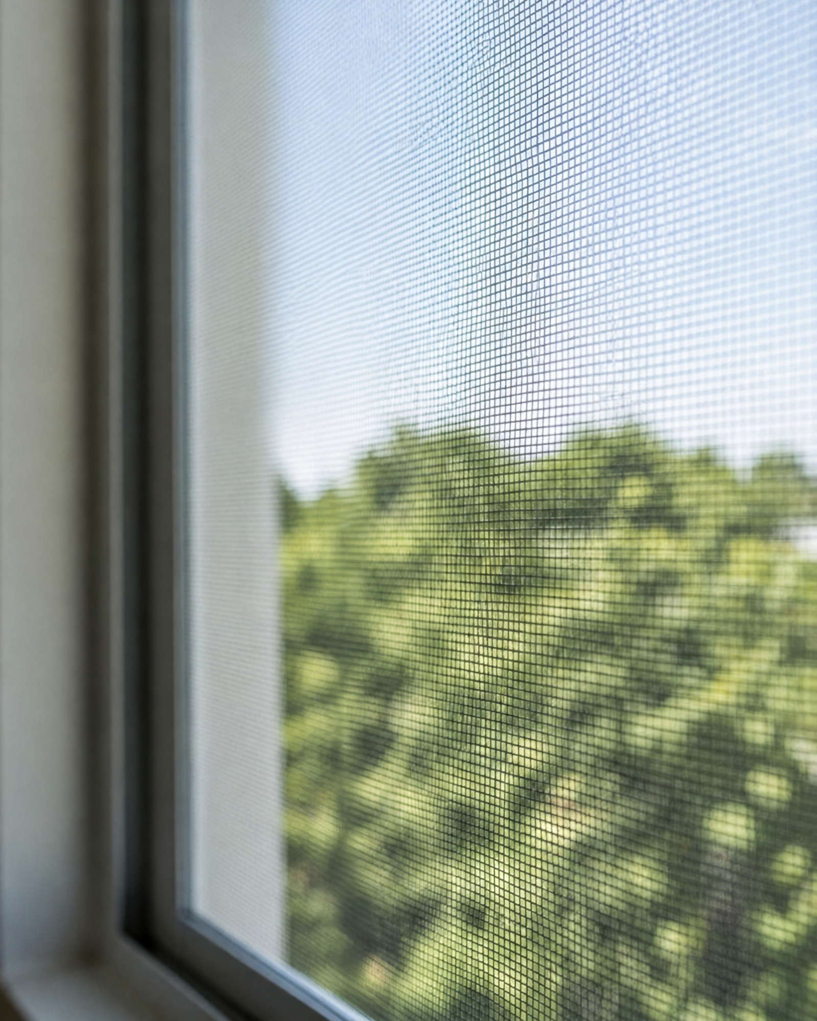 Mosquito mesh installed on a Singapore home window